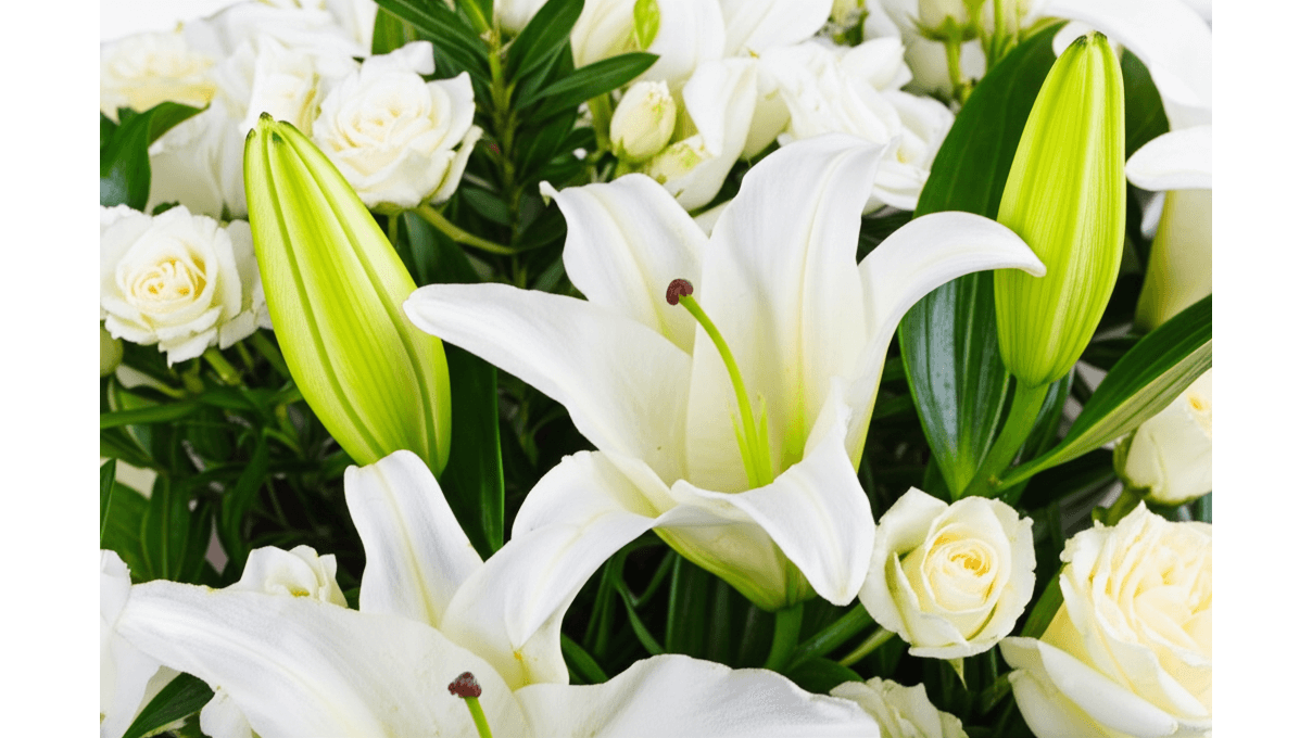 3大經典白花_百合_玫瑰_茉莉的香氣與價格分析