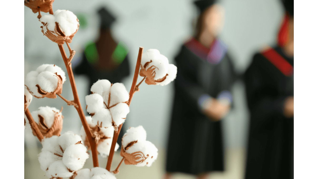 白色木棉花_純潔真摯與永恆友誼_畢業生友誼維持信心提升