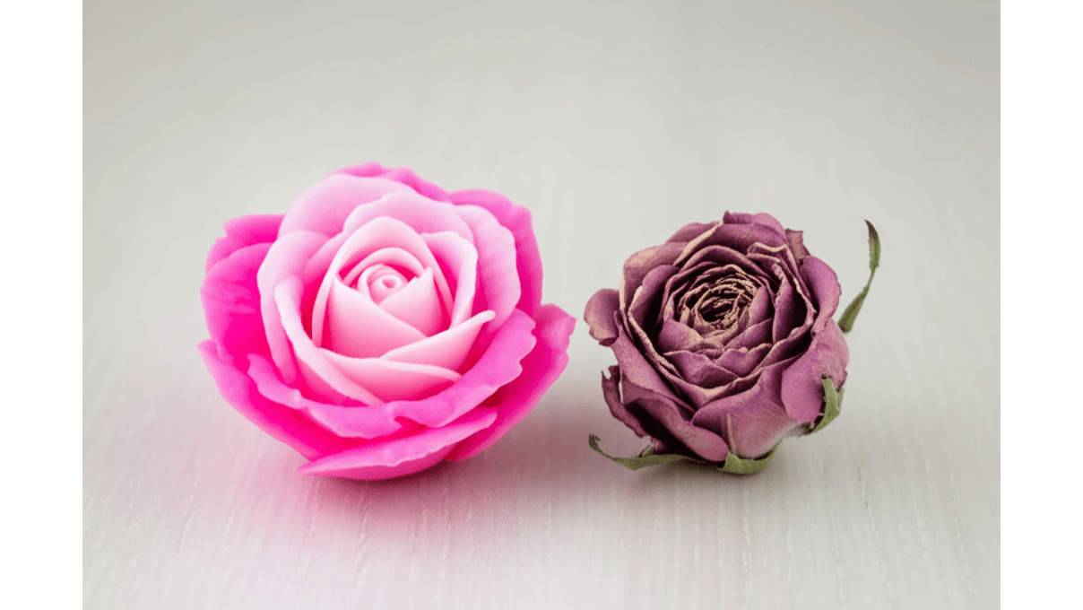 香皂花與永生花材質差異_成分_價格與特性比較