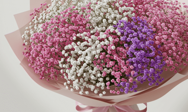 滿天星花語送禮指南：4種顏色寓意、3種送禮場合與3大花束設計技巧